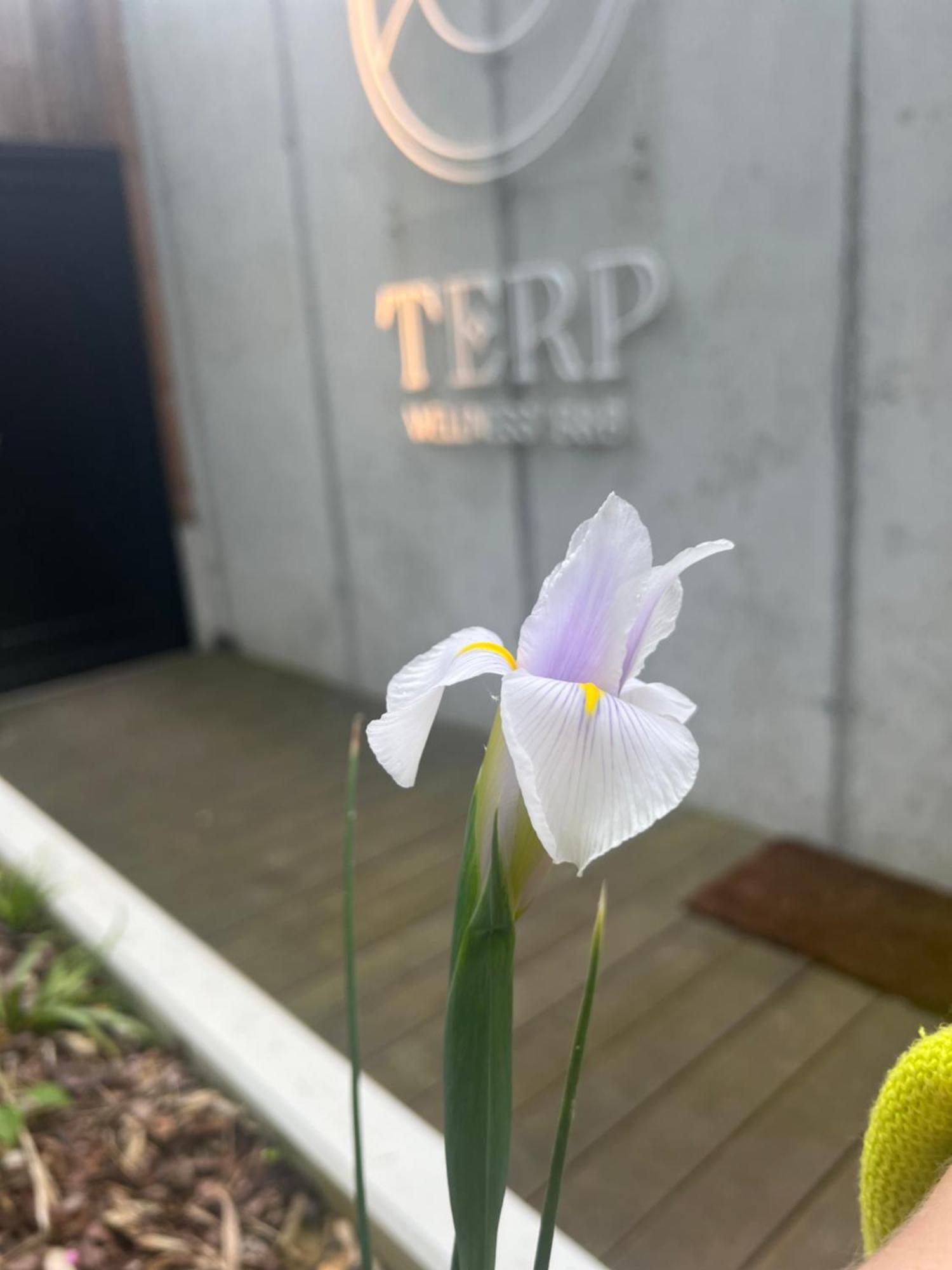 Terp Acomodação com café da manhã Poperinge Exterior foto